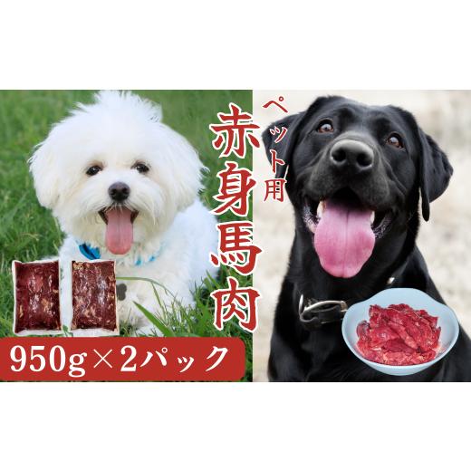 ふるさと納税 馬肉 熊本県 あさぎり町  定期便12回 (ペット用) 馬肉切り落とし 1900g（950g×２パック）馬肉 ペット ヘルシー 切り落とし 定期便の画像