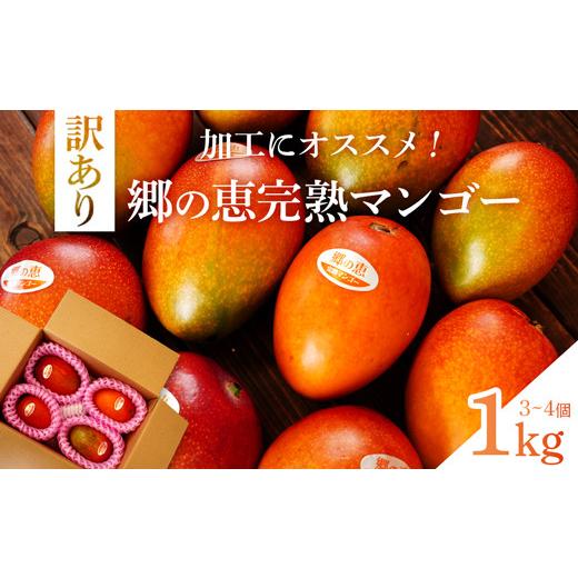 ふるさと納税 マンゴー 鹿児島県 大崎町 訳あり 1kg 大崎完熟マンゴー「郷の恵(さとのめぐみ)」加工用マンゴー(糖度10度前後)