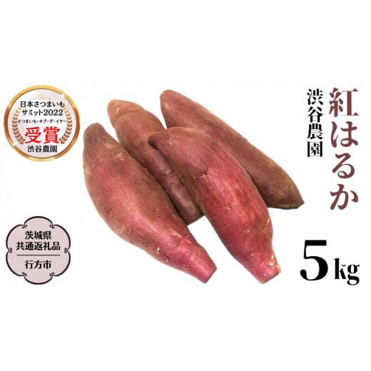 ふるさと納税 野菜類 サツマイモ 茨城県 桜川市 2025年度産 紅はるか 約5kg 茨城県共通返礼品/行方市 渋谷農園 さつまいも いも 芋 焼芋 DT001sa