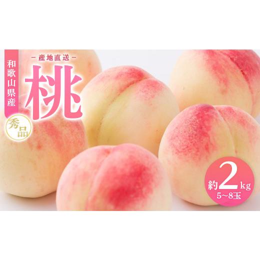ふるさと納税 もも 和歌山県 美浜町 産地直送 和歌山県産 桃 約2kg(5〜8玉)秀品 もも