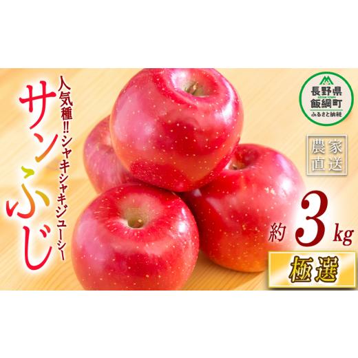 ふるさと納税 りんご 長野県 飯綱町 りんご サンふじ 極選 3kg マルハ農園 沖縄県への配送不可 2026年12月上旬頃から2026年12月中旬頃まで順次発送予定 令和8…