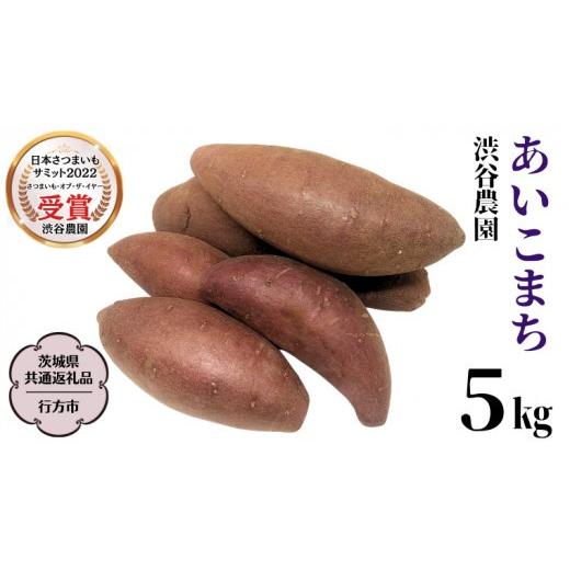 ふるさと納税 野菜類 サツマイモ 茨城県 桜川市 あいこまち 約5kg (茨城県共通返礼品／行方市) 2025年11月から発送開始 渋谷農園 さつまいも いも 芋 焼き芋 D…の画像