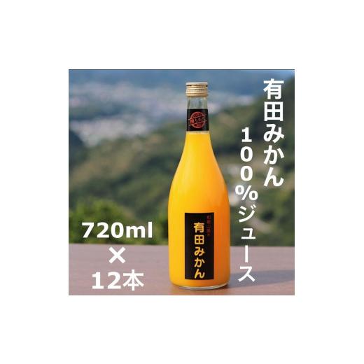 ふるさと納税 和歌山県 美浜町 【搾りたて発送】和歌山産　有田みかん100%ジュース 720ml×12本 無添加ストレート※着日指定不可※北海道・沖縄・離島への配送…｜furusatochoice｜02