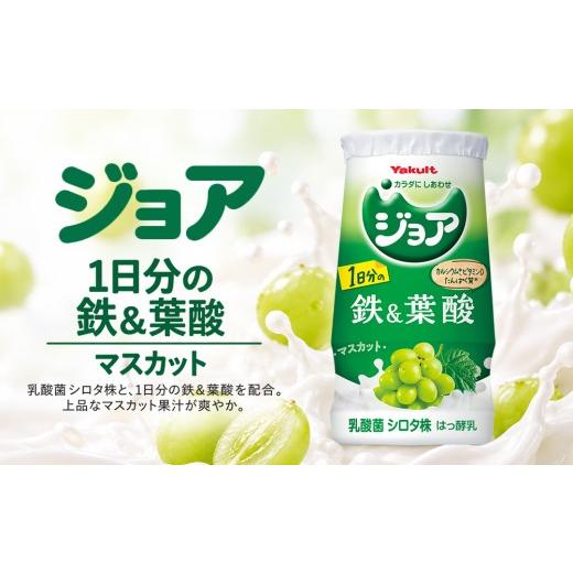 ふるさと納税 飲料類 乳飲料 佐賀県 神埼市 ヤクルト400LT 21本
