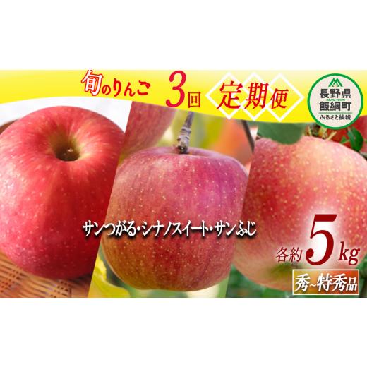 ふるさと納税 りんご 長野県 飯綱町 旬のりんご 定期便 秀 〜 特秀 5kg × 3回 マルハ農園 沖縄県への配送不可 2026年9月上旬頃から2026年12月中旬頃まで順次…