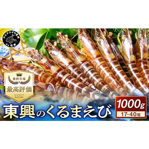 ふるさと納税 エビ 車エビ 長崎県 松浦市 先行予約 宅配BOX不可 東興のくるまえび1kg入 1月〜2月上旬発送 ( くるまえび 東興のくるまえび 車海老 海老 エビ )…