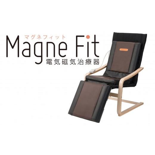 ふるさと納税 電化製品 群馬県 高崎市  23D001  家庭用医療機器 マグネフィット（電気磁気治療器）の画像