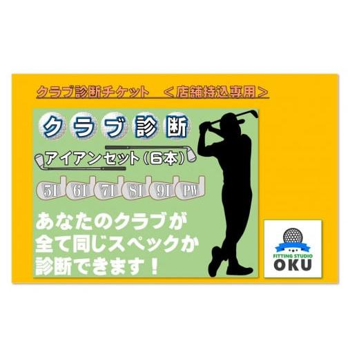 ふるさと納税 千葉県 君津市 ゴルフクラブ 診断チケット アイアンセット (6本) 店舗持込