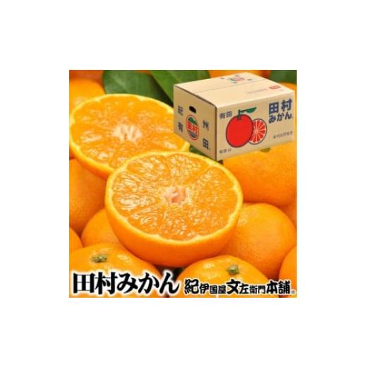 ふるさと納税 果物類 みかん 和歌山県 美浜町 田村みかん/5kg 秀品 大玉サイズ |湯浅町田村地区産 産地直送 最高級プレミアムブランドの田村ミカン 紀伊国…