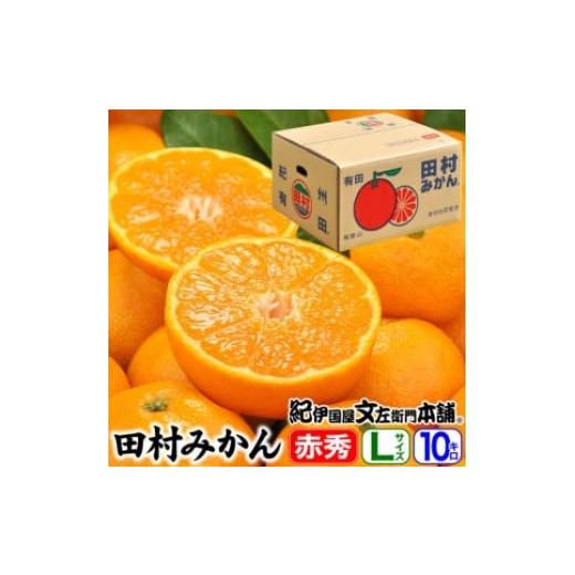 ふるさと納税 果物類 みかん 和歌山県 美浜町 田村みかん/特選ギフト品10kg Lサイズ 赤秀|湯浅町田村地区産 産地直送 最高級プレミアムブランドの田村ミカン…