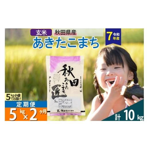 ふるさと納税 玄米 秋田県 仙北市 玄米 令和7年産 [定期便2ヶ月]秋田県産 あきたこまち 5kg (5kg×1袋)×2回 匠
