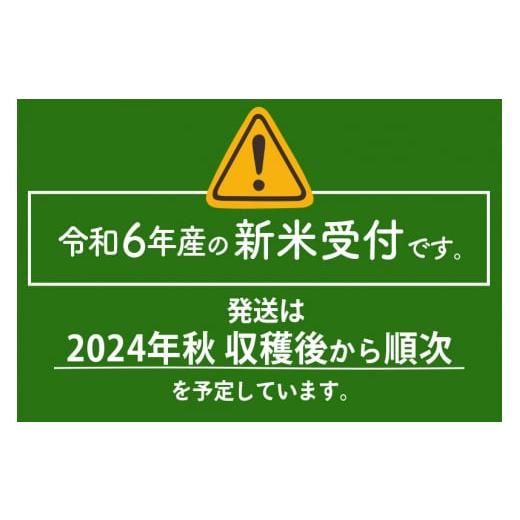 ふるさと納税 秋田県 仙北市 【無洗米】＜令和6年産 新米予約＞秋田県産 あきたこまち 5kg (5kg×1袋) 5キロ お米【2024年秋 収穫後に順次発送開始】｜furusatochoice｜04