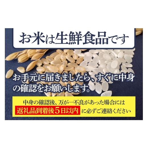 ふるさと納税 無洗米 秋田県 仙北市  無洗米 令和7年産 《定期便5ヶ月》秋田県産 あきたこまち 5kg (5kg×1袋) ×5回 5キロ お米 匠 サンファーム西木定期便 …の画像