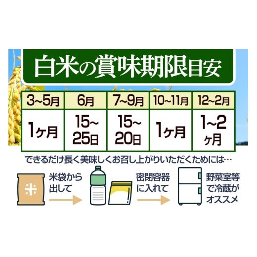 ふるさと納税 無洗米 秋田県 仙北市  無洗米 令和7年産 《定期便5ヶ月》秋田県産 あきたこまち 5kg (5kg×1袋) ×5回 5キロ お米 匠 サンファーム西木定期便 …の画像