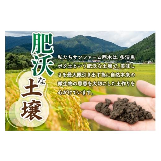 ふるさと納税 無洗米 秋田県 仙北市  無洗米 令和7年産 《定期便5ヶ月》秋田県産 あきたこまち 5kg (5kg×1袋) ×5回 5キロ お米 匠 サンファーム西木定期便 …の画像