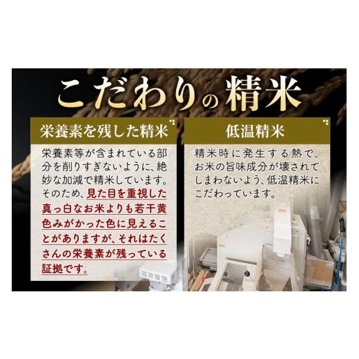 ふるさと納税 無洗米 秋田県 仙北市  無洗米 令和7年産 《定期便5ヶ月》秋田県産 あきたこまち 5kg (5kg×1袋) ×5回 5キロ お米 匠 サンファーム西木定期便 …の画像