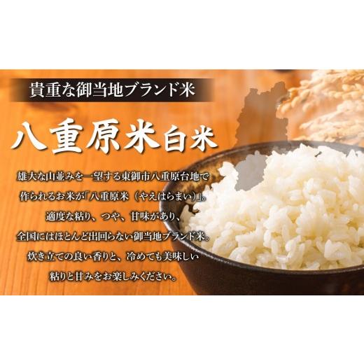 ふるさと納税 米 コシヒカリ 長野県 東御市 令和8年新米予約 9回定期便 八重原米2kg（2kg×1袋）白米　 2026年10月以降順次発送｜笹屋農園「農薬削減長野県認…_2