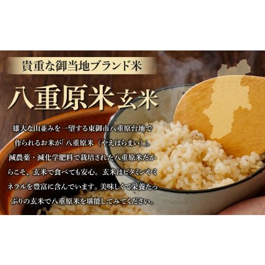 ふるさと納税 玄米 長野県 東御市 令和8年新米予約 9回定期便 八重原米2kg（2kg×1袋）玄米　 2026年10月以降順次発送｜笹屋農園「農薬削減長野県認証取得」特…_2