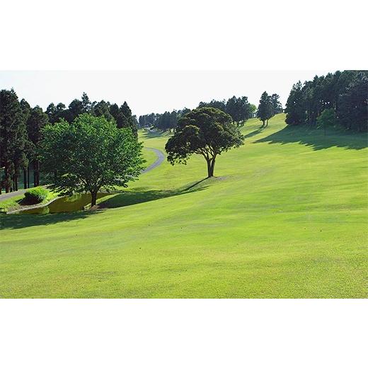ふるさと納税 ゴルフ場利用券 千葉県 君津市 鹿野山ゴルフ倶楽部 利用券 3,000円分 | イベント チケット 体験チケット ゴルフ ゴルフ利用券 千葉県 君津市_3