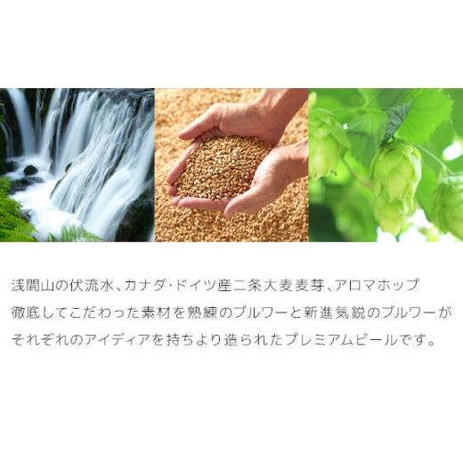 ふるさと納税 ビール 地ビール 長野県 佐久市  6ヶ月定期便 THE軽井沢ビール 6種6缶 飲み比べ セット 軽井沢ブルワリー THE軽井沢ビール 6種 6本分 詰め合わせ…の画像