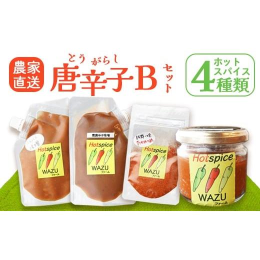 ふるさと納税 加工品等 京都府 綾部市 国産 唐辛子 4種セットB( 赤柚子胡椒 / 一味(鷹の爪) / 青唐辛子味噌 / にんにく味噌 ) 農家直送 唐辛子みそ トウ…