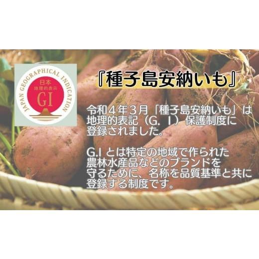 さつまいも 紅はるか 20kg （土付き・大小サイズ混在） 2024年産長期