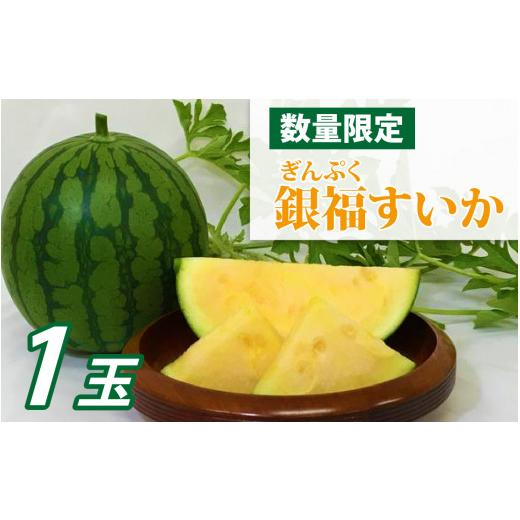 ふるさと納税 スイカ 福井県 福井市 先行予約 数量限定 銀福(ぎんぷく)すいか 1玉「2026年6月中旬より順次発送」/ 種少ない スイカ 1玉 2kg 小玉すいか す…