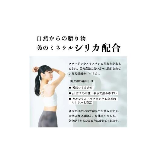 ふるさと納税 水・砿物お水 500mL〜999mL 奈良県 奈良市 水 500ml 288本 48本×6回 二酸化ケイ素水 砿物お水 奥大和の銘水 軟水 みず 水 国産 …
