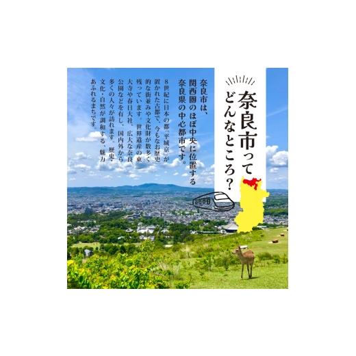 ふるさと納税 水・砿物お水 500mL〜999mL 奈良県 奈良市 水 500ml 288本 48本×6回 二酸化ケイ素水 砿物お水 奥大和の銘水 軟水 みず 水 国産 …