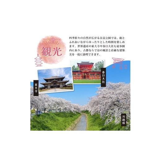 ふるさと納税 水・砿物お水 500mL〜999mL 奈良県 奈良市 水 500ml 288本 48本×6回 二酸化ケイ素水 砿物お水 奥大和の銘水 軟水 みず 水 国産 …
