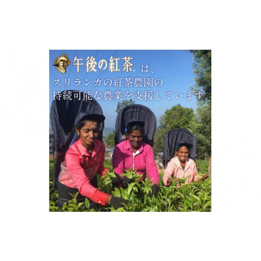 ふるさと納税 滋賀県 多賀町 【定期便】【毎月3回】キリン 午後の紅茶 ストレートティー 500ml × 24本 × 3ヶ月 午後の紅茶 ストレートティー 500ml 24本 3ヶ月