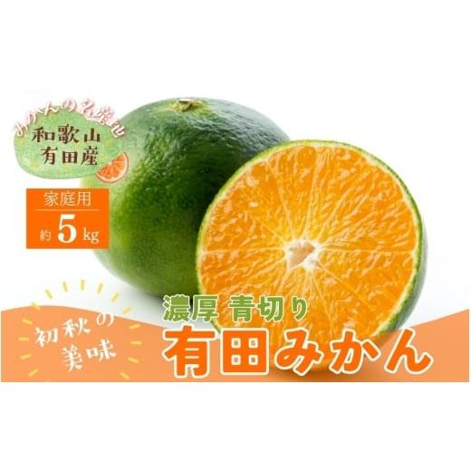 ふるさと納税 果物類 みかん 和歌山県 かつらぎ町 訳あり・ご家庭用 青切り有田みかん 約5kg +200g(痛み補償分) 2026年9月中旬〜10月上旬頃に順次発送予定 …
