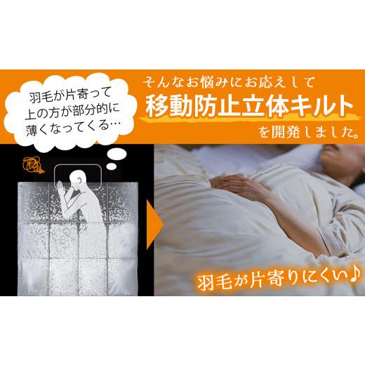 ふるさと納税 タオル・寝具 掛け布団 宮崎県 都城市 グレー 片寄らない羽毛肌掛ふとん ホワイトダック93% ロイヤルゴールドラベル SL _AG-J202-gr_(都城市) …_2