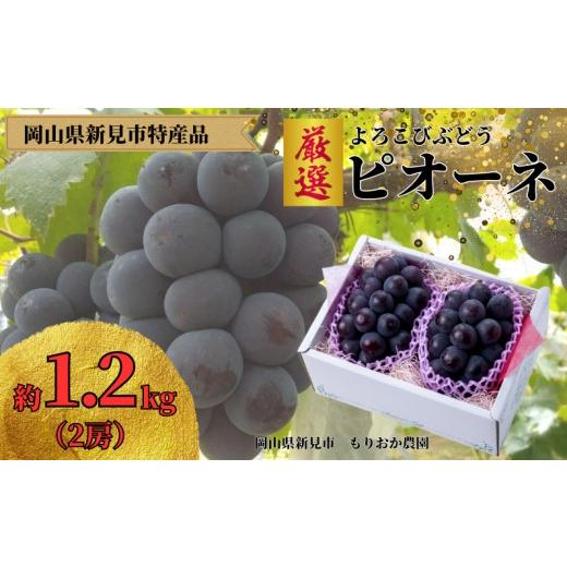 ふるさと納税 果物類 ぶどう 岡山県 新見市 厳選 ピオーネ 約1.2kg 2房 岡山県新見市 もりおか農園 よろこびぶどう 先行予約 2026年9月上旬から順次発送 厳選 …