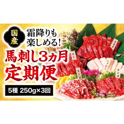 ふるさと納税 熊本県 美里町 [熊本肥育]熊本馬刺し 高級部位 食べ合わせ 250g[定期便3ヵ月]上赤身 霜降り たてがみ 馬ヒレ 専用?油付き[熊本と畜]