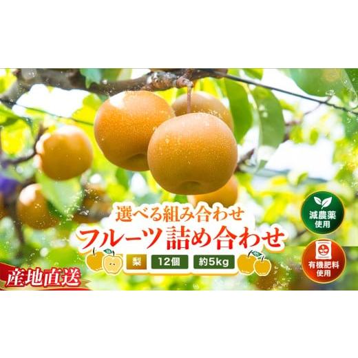 ふるさと納税 梨 大分県 中津市 先行予約 糖度計使用 梨詰め合わせ 約5kg (約12〜13個) | 梨 ナシ なし 和梨 幸水 豊水 菊水 詰め合わせ セット フルーツ く…