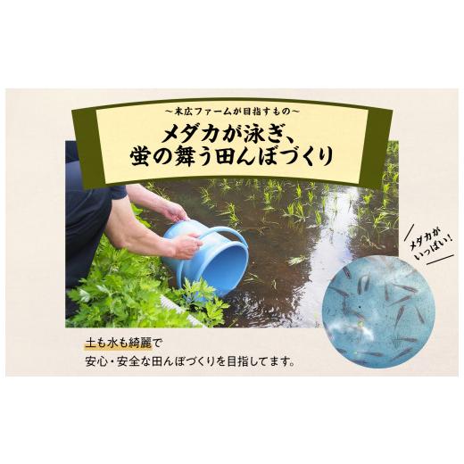 ふるさと納税 秋田県 鹿角市 【年内配送】《新米》令和5年産【定期便】末広産 あきたこまち 精米 5kg × 7ヶ月 連続発送 計 35kg 【末広ファーム】　あきたこ…