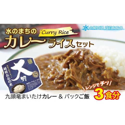 ふるさと納税 加工品等 レトルト 福井県 大野市 レンジでチン 水のまちのカレーライスセット 3食分 コシヒカリ こしひかり 防災 備蓄 パックご飯 150g パック…