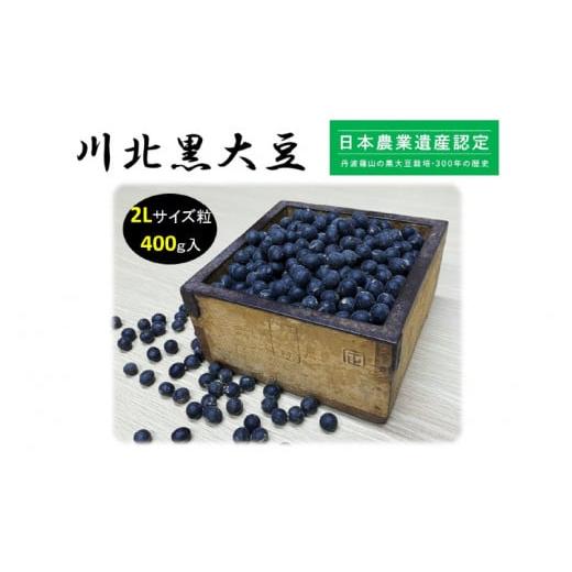 ふるさと納税 豆類 大豆 兵庫県 - 先行予約 新物 令和7年産 川北黒大豆 Lサイズ粒 500g入り 2025年12月中旬以降順次発送予定 豆類 丹波の黒豆 最高級ブラ…