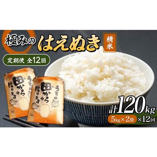 【値下げ中】 ふるさと納税 山形県 新庄市 【定期便】令和5年産 極みのはえぬき 5kg×2（精米）全12回 米 お米 おこめ 山形県 新庄市 F3S-1699 【QGW3624515765】(127680円)