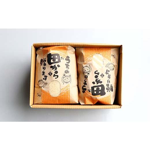 【値下げ中】 ふるさと納税 山形県 新庄市 【定期便】令和5年産 極みのはえぬき 5kg×2（精米）全12回 米 お米 おこめ 山形県 新庄市 F3S-1699 【QGW3624515765】(127680円)