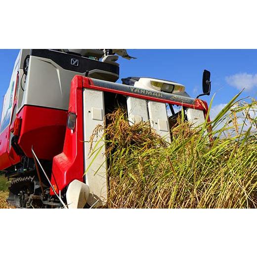 【値下げ中】 ふるさと納税 山形県 新庄市 【定期便】令和5年産 極みのはえぬき 5kg×2（精米）全12回 米 お米 おこめ 山形県 新庄市 F3S-1699 【QGW3624515765】(127680円)