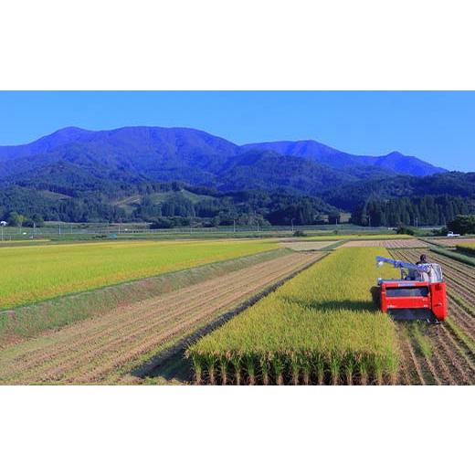 【値下げ中】 ふるさと納税 山形県 新庄市 【定期便】令和5年産 極みのはえぬき 5kg×2（精米）全12回 米 お米 おこめ 山形県 新庄市 F3S-1699 【QGW3624515765】(127680円)