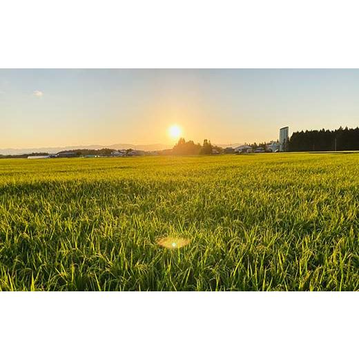 【値下げ中】 ふるさと納税 山形県 新庄市 【定期便】令和5年産 極みのはえぬき 5kg×2（精米）全12回 米 お米 おこめ 山形県 新庄市 F3S-1699 【QGW3624515765】(127680円)