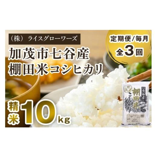 ふるさと納税 米 コシヒカリ 新潟県 加茂市 令和7年産 定期便3回毎月お届け 新潟県加茂市 七谷産 棚田米コシヒカリ 精米10kg(5kg×2)[順次出荷] 白米 (…