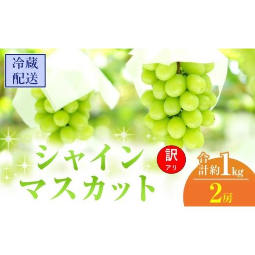 ふるさと納税 ぶどう マスカット 岡山県 高梁市   訳あり シャインマスカット 2房 合計 約1kg 岡山県 高梁市産 2026年 先行予約 クール便 冷蔵 ぶ…