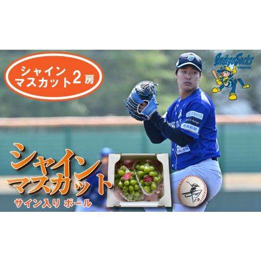 ふるさと納税 ぶどう マスカット 徳島県 阿波市 2房 サインボール 先行予約 シャインマスカット 2房 徳島 インディゴソックス サイン入り ボール セット 野球…
