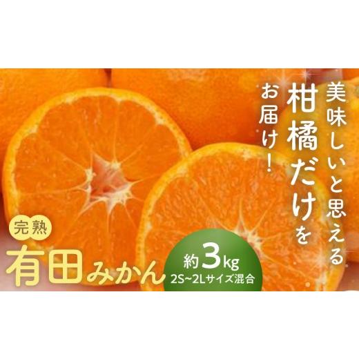 ふるさと納税 果物類 みかん 和歌山県 湯浅町 AN6104n_ 2026年先行予約 完熟有田みかん箱込み3kgサイズ混合