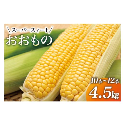 ふるさと納税 宮崎県 日向市 とうもろこし [2024年夏発送] スイートコーン とうもろこし『おおもの』4.5kg (10本〜12本) [黒木ふぁーむ 宮崎県 日向市 45206…