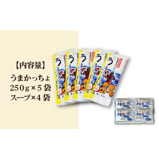 ふるさと納税 うどん 生・生涯めん 長崎県 新上五島町  噂のとっぺん塩当てはめる 五島手延うどん 仕かける 5袋（うまかっちょ） 吸いもの付き添い人 ／ 五島うどん 新上五島町…